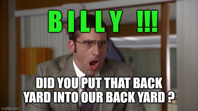 Shouting | B I L L Y   !!! DID YOU PUT THAT BACK YARD INTO OUR BACK YARD ? | image tagged in shouting | made w/ Imgflip meme maker