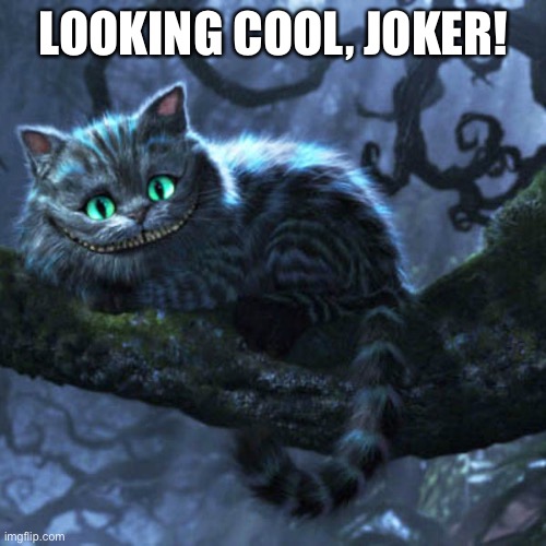 LOOKING COOL, JOKER! | image tagged in joker,persona 5,morgana,persona 5 cat,looking cool joker,joker persona | made w/ Imgflip meme maker