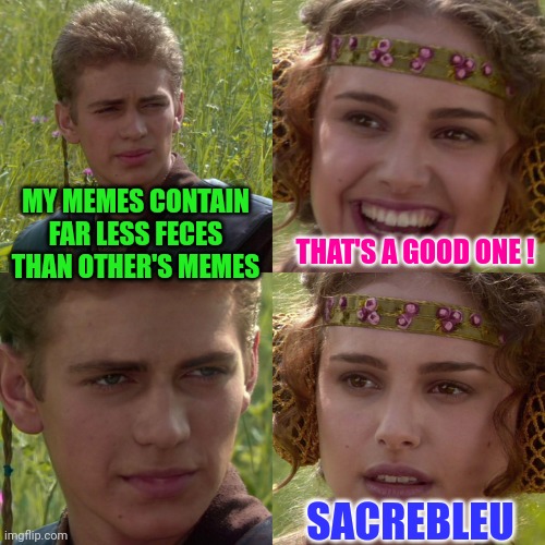 What's Next ?   Kosher Memes ! | MY MEMES CONTAIN FAR LESS FECES THAN OTHER'S MEMES; THAT'S A GOOD ONE ! SACREBLEU | image tagged in anakin padme 4 panel | made w/ Imgflip meme maker