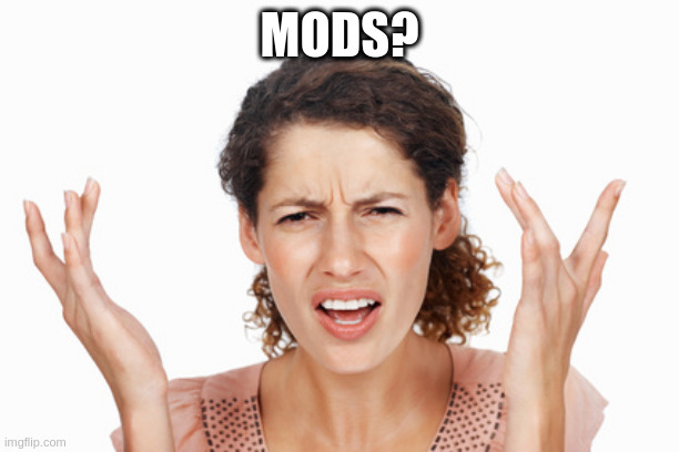 Indignant | MODS? | image tagged in indignant | made w/ Imgflip meme maker