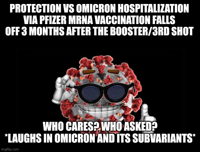 breh | PROTECTION VS OMICRON HOSPITALIZATION VIA PFIZER MRNA VACCINATION FALLS OFF 3 MONTHS AFTER THE BOOSTER/3RD SHOT; WHO CARES? WHO ASKED?
*LAUGHS IN OMICRON AND ITS SUBVARIANTS* | image tagged in coronavirus,covid-19,pfizer,vaccines,omicron,hospitalization | made w/ Imgflip meme maker