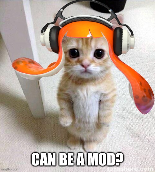 I wonder... | CAN BE A MOD? | image tagged in moderators,pls,inkling,cat | made w/ Imgflip meme maker