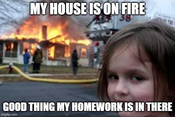 Burning House Girl | MY HOUSE IS ON FIRE; GOOD THING MY HOMEWORK IS IN THERE | image tagged in burning house girl | made w/ Imgflip meme maker