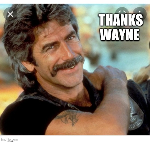 THANKS WAYNE | made w/ Imgflip meme maker