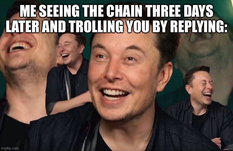 Elon Musk Laughing | ME SEEING THE CHAIN THREE DAYS LATER AND TROLLING YOU BY REPLYING: | image tagged in elon musk laughing | made w/ Imgflip meme maker