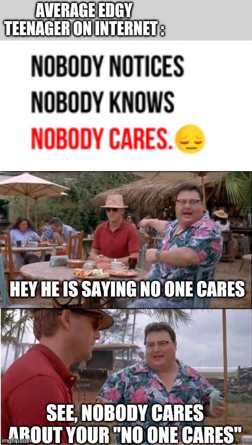 Stfu and be happy | AVERAGE EDGY TEENAGER ON INTERNET :; HEY HE IS SAYING NO ONE CARES; SEE, NOBODY CARES ABOUT YOUR "NO ONE CARES" | image tagged in memes,see nobody cares,edgy,teenagers,teen | made w/ Imgflip meme maker