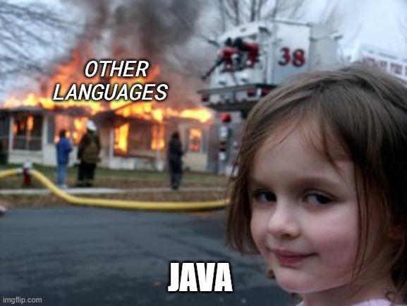 OTHER LANGUAGES; JAVA | image tagged in coding,java | made w/ Imgflip meme maker