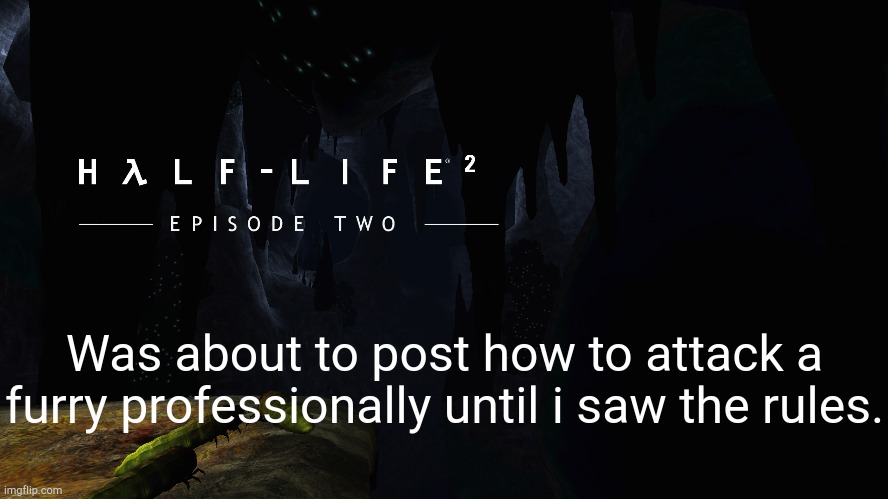 Hλlf-Life 2 ep2 | Was about to post how to attack a furry professionally until i saw the rules. | image tagged in h lf-life 2 ep2 | made w/ Imgflip meme maker