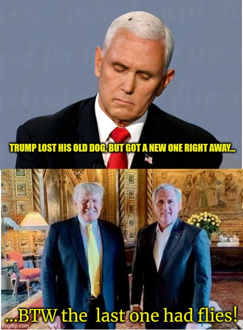 Trump's new dog! | TRUMP LOST HIS OLD DOG, BUT GOT A NEW ONE RIGHT AWAY... ...BTW the  last one had flies! | image tagged in donald trump,mccarthy,pence,liar,traitors | made w/ Imgflip meme maker