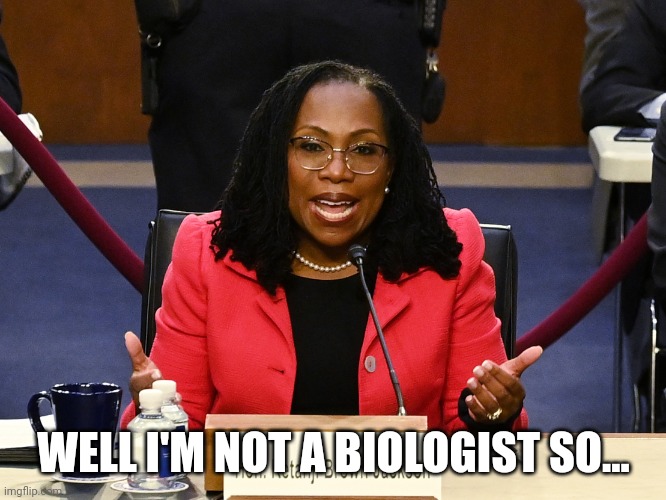 Ketanji Brown Jackson | WELL I'M NOT A BIOLOGIST SO... | image tagged in ketanji brown jackson | made w/ Imgflip meme maker