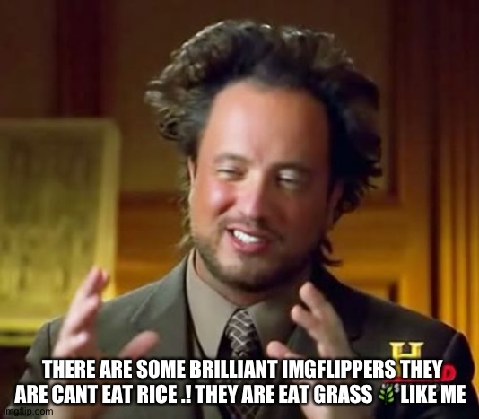 They Eat Grass .! | THERE ARE SOME BRILLIANT IMGFLIPPERS THEY ARE CANT EAT RICE .! THEY ARE EAT GRASS 🌿 LIKE ME | image tagged in memes,xd | made w/ Imgflip meme maker