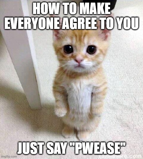 PWEEEEEEASE | HOW TO MAKE EVERYONE AGREE TO YOU; JUST SAY "PWEASE" | image tagged in memes,cute cat | made w/ Imgflip meme maker