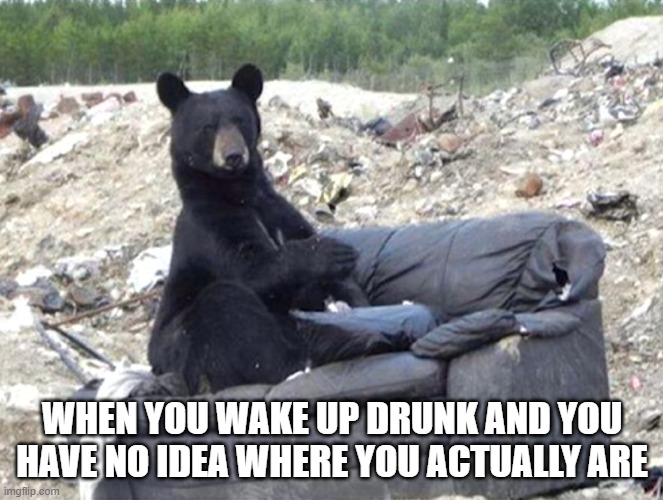 WHEN YOU WAKE UP DRUNK AND YOU HAVE NO IDEA WHERE YOU ACTUALLY ARE | image tagged in funny memes | made w/ Imgflip meme maker