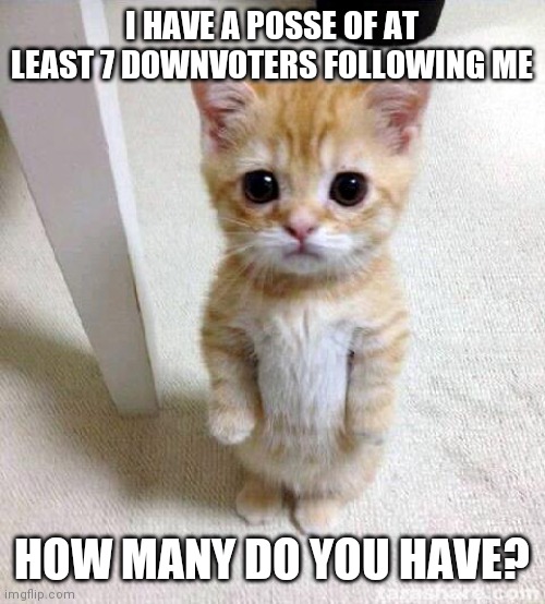 Is 7 average? |  I HAVE A POSSE OF AT LEAST 7 DOWNVOTERS FOLLOWING ME; HOW MANY DO YOU HAVE? | image tagged in memes,cute cat,haters gonna hate,i love you this much,litter box,full | made w/ Imgflip meme maker