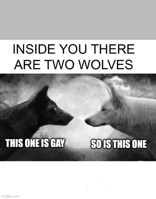 Inside you there are two wolves | SO IS THIS ONE; THIS ONE IS GAY | image tagged in inside you there are two wolves | made w/ Imgflip meme maker
