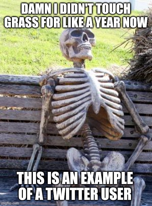 Skeleton | DAMN I DIDN'T TOUCH GRASS FOR LIKE A YEAR NOW; THIS IS AN EXAMPLE OF A TWITTER USER | image tagged in memes,waiting skeleton | made w/ Imgflip meme maker