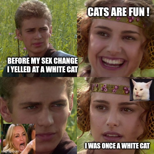 Now  THAT  Changes Everything | CATS ARE FUN ! BEFORE MY SEX CHANGE I YELLED AT A WHITE CAT; I WAS ONCE A WHITE CAT | image tagged in anakin padme 4 panel | made w/ Imgflip meme maker
