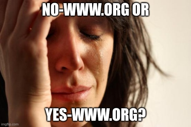 no-www.org or yes-www.org? | NO-WWW.ORG OR; YES-WWW.ORG? | image tagged in memes,first world problems | made w/ Imgflip meme maker