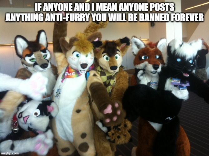 I mean it |  IF ANYONE AND I MEAN ANYONE POSTS ANYTHING ANTI-FURRY YOU WILL BE BANNED FOREVER | image tagged in furries | made w/ Imgflip meme maker