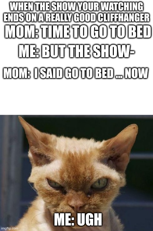 WHEN THE SHOW YOUR WATCHING ENDS ON A REALLY GOOD CLIFFHANGER; MOM: TIME TO GO TO BED; ME: BUT THE SHOW-; MOM:  I SAID GO TO BED ... NOW; ME: UGH | image tagged in blank white template,mad cat,angry | made w/ Imgflip meme maker