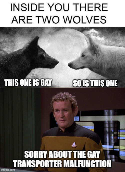 2 gay wolves | SORRY ABOUT THE GAY TRANSPORTER MALFUNCTION | image tagged in star trek,transporter,malfunction,inside you there are two wolves | made w/ Imgflip meme maker