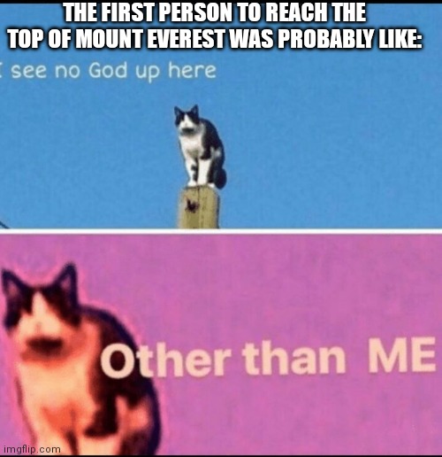 Mount Everest | THE FIRST PERSON TO REACH THE TOP OF MOUNT EVEREST WAS PROBABLY LIKE: | image tagged in i see no god up here other than me | made w/ Imgflip meme maker