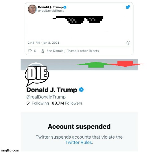 Trump Twitter Account Suspended | DIE | image tagged in trump twitter account suspended | made w/ Imgflip meme maker