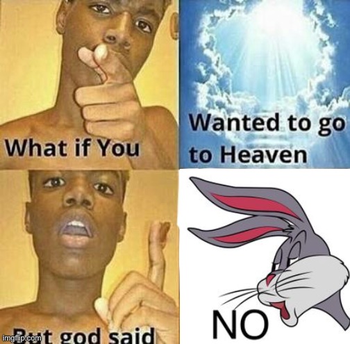 No | image tagged in what if you wanted to go to heaven | made w/ Imgflip meme maker