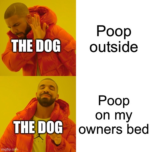 Drake Hotline Bling | Poop outside; THE DOG; Poop on my owners bed; THE DOG | image tagged in memes,drake hotline bling | made w/ Imgflip meme maker