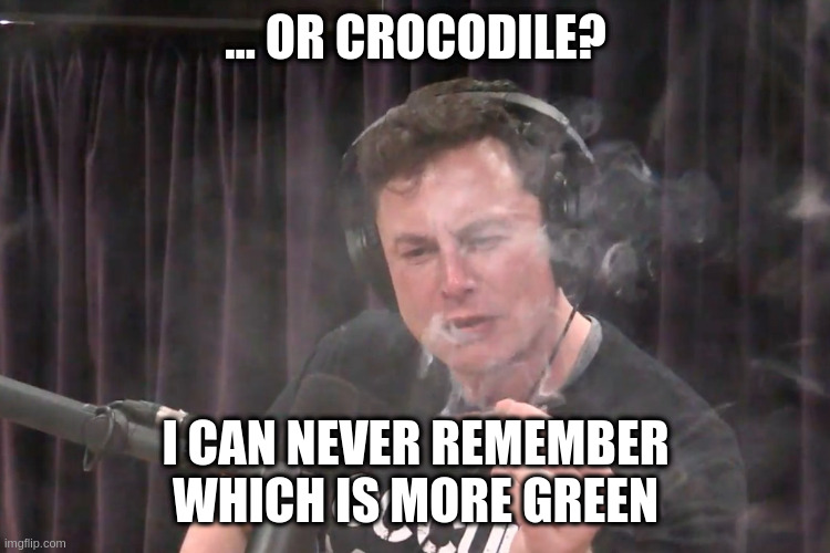 How long can I hold breath for | ... OR CROCODILE? I CAN NEVER REMEMBER WHICH IS MORE GREEN | image tagged in how long can i hold breath for | made w/ Imgflip meme maker