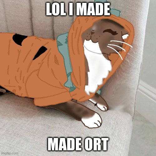 patches my beloved <3 | LOL I MADE; MADE ORT | made w/ Imgflip meme maker