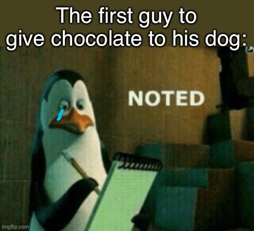 Zad | The first guy to give chocolate to his dog: | image tagged in noted | made w/ Imgflip meme maker