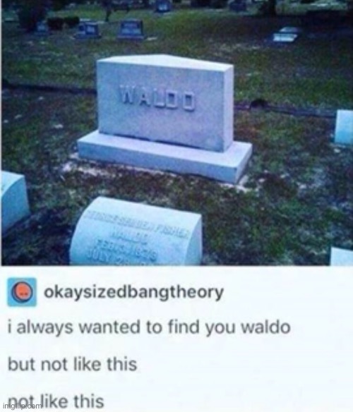 NOOOOOOOOO | made w/ Imgflip meme maker