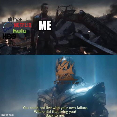 Netflix announcing commercials | ME | image tagged in thanos you could not live with your own failure | made w/ Imgflip meme maker