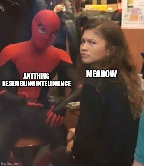The Gnidow | MEADOW; ANYTHING RESEMBLING INTELLIGENCE | image tagged in meme | made w/ Imgflip meme maker