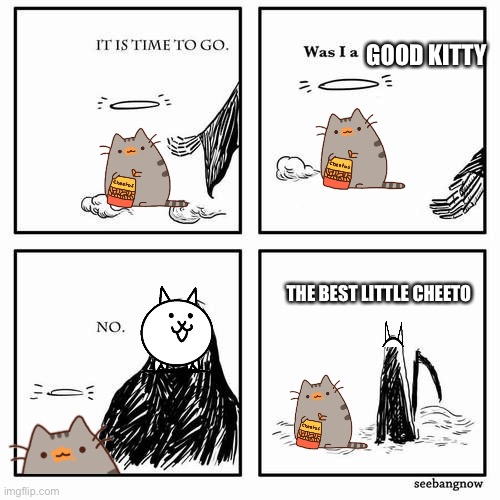 It is time to go | GOOD KITTY; THE BEST LITTLE CHEETO | image tagged in it is time to go | made w/ Imgflip meme maker