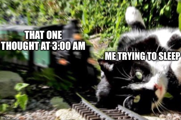Something | THAT ONE THOUGHT AT 3:00 AM; ME TRYING TO SLEEP | image tagged in cat,train,oh no,thing,e,meme | made w/ Imgflip meme maker