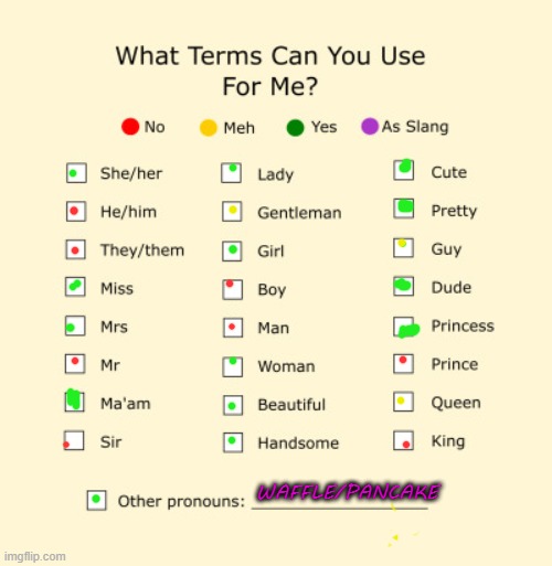 Pronouns Sheet | WAFFLE/PANCAKE | image tagged in pronouns sheet | made w/ Imgflip meme maker