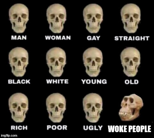 idiot skull | WOKE PEOPLE | image tagged in idiot skull | made w/ Imgflip meme maker