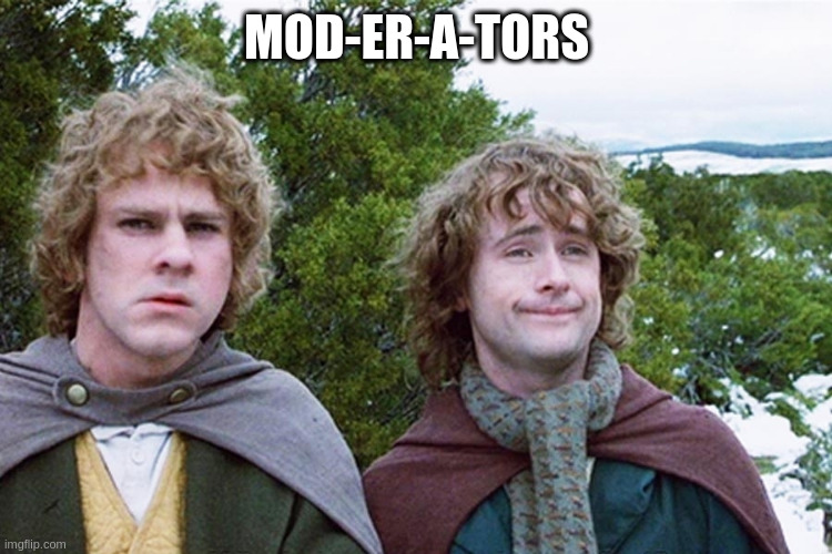 hobbits | MOD-ER-A-TORS | image tagged in hobbits | made w/ Imgflip meme maker