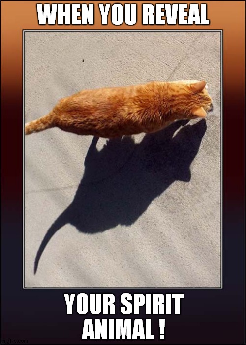 A Cats Rat Shadow ! | WHEN YOU REVEAL; YOUR SPIRIT ANIMAL ! | image tagged in cats,rats,shadow,spirit animal | made w/ Imgflip meme maker