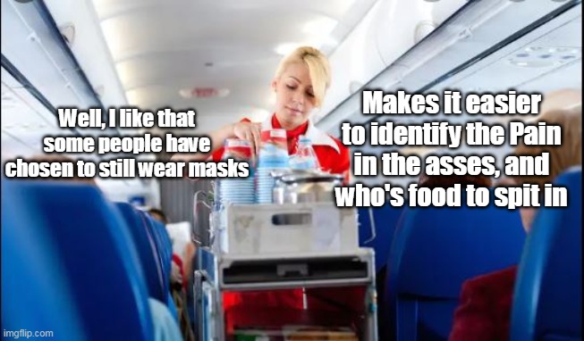 The die hard virtue signaling mask wearers | Makes it easier to identify the Pain in the asses, and who's food to spit in; Well, I like that some people have chosen to still wear masks | image tagged in memes,masks,airplane | made w/ Imgflip meme maker