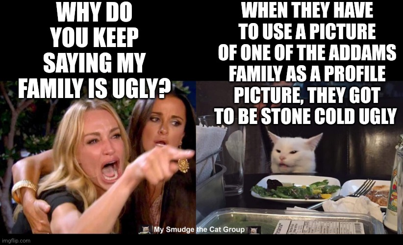 WHY DO YOU KEEP SAYING MY FAMILY IS UGLY? WHEN THEY HAVE TO USE A PICTURE OF ONE OF THE ADDAMS FAMILY AS A PROFILE PICTURE, THEY GOT TO BE STONE COLD UGLY | image tagged in smudge the cat | made w/ Imgflip meme maker