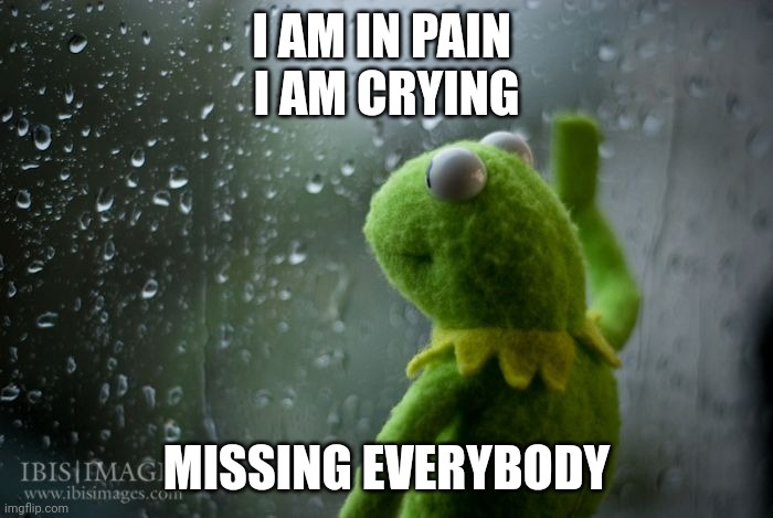 kermit window | I AM IN PAIN 
I AM CRYING; MISSING EVERYBODY | image tagged in kermit window | made w/ Imgflip meme maker