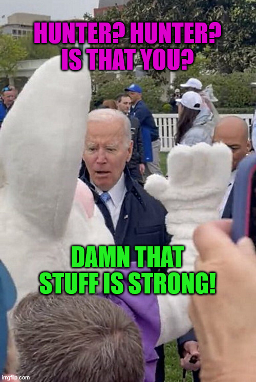 prez and bunny |  HUNTER? HUNTER? IS THAT YOU? DAMN THAT STUFF IS STRONG! | image tagged in politics | made w/ Imgflip meme maker