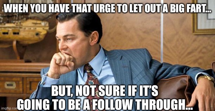 Wolf of Wall Street | WHEN YOU HAVE THAT URGE TO LET OUT A BIG FART…; BUT, NOT SURE IF IT’S GOING TO BE A FOLLOW THROUGH… | image tagged in wolf of wall street | made w/ Imgflip meme maker