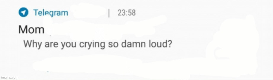 Why are you crying so damn loud | image tagged in why are you crying so damn loud | made w/ Imgflip meme maker