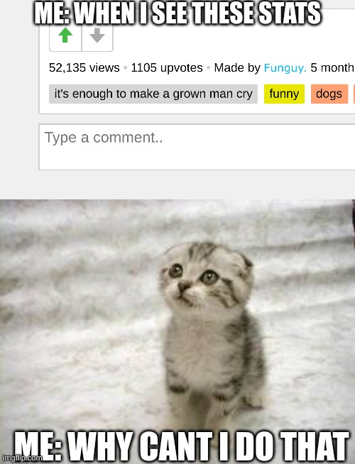 50 thousand views and 1.1 thousand upvotes... | ME: WHEN I SEE THESE STATS; ME: WHY CAN'T I DO THAT | image tagged in memes,sad cat,upvotes | made w/ Imgflip meme maker