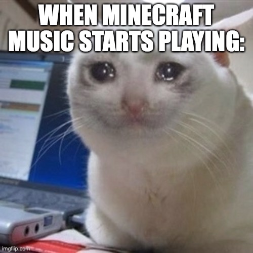 when minecraft music plays | WHEN MINECRAFT MUSIC STARTS PLAYING: | image tagged in crying cat | made w/ Imgflip meme maker