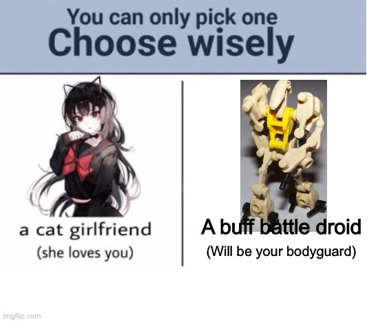 Choose wisely | A buff battle droid; (Will be your bodyguard) | image tagged in choose wisely | made w/ Imgflip meme maker